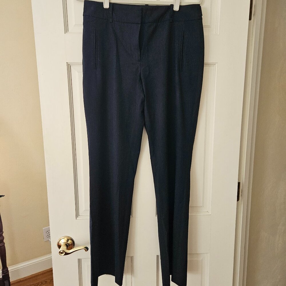 Loft Navy Pants (8)